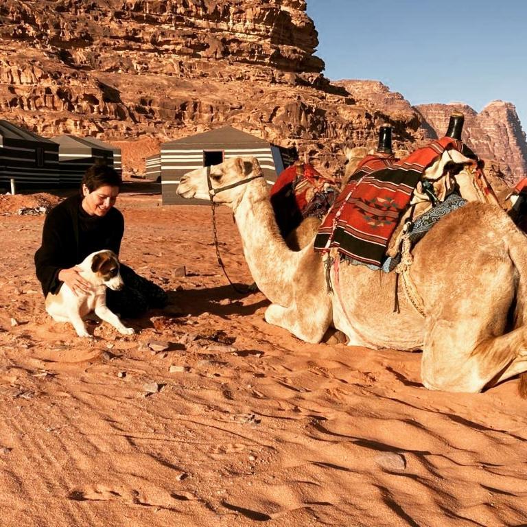 Desert Magic Camp & Resort Wadi Rum Eksteriør billede